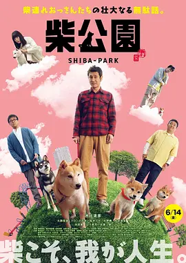 男操女视频在线观看