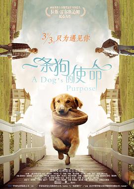 麻豆天美
