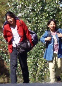 日本一区二区三区免费看
