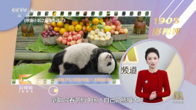 亚洲99影视一区二区三区